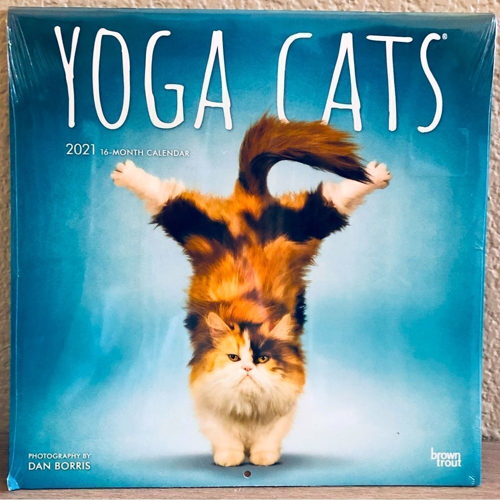 Yoga Cats Wall Art Decor Calendar